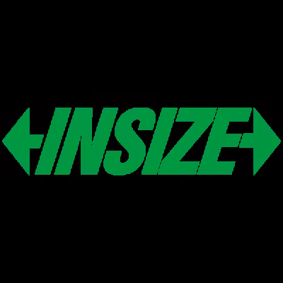 Insize Logo