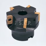 freze-taslama-basligi-1