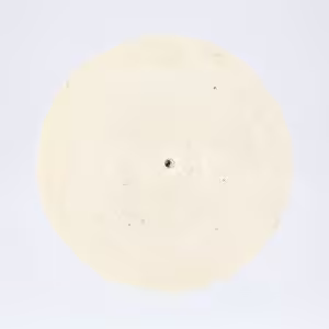 gmd bicak uclu tekerlek keceler 5906