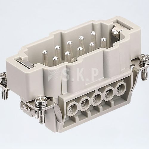 SIZE 10 E 10’lu Erkek Çekirdek