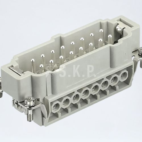 SIZE 16 E 16’lı Erkek Çekirdek