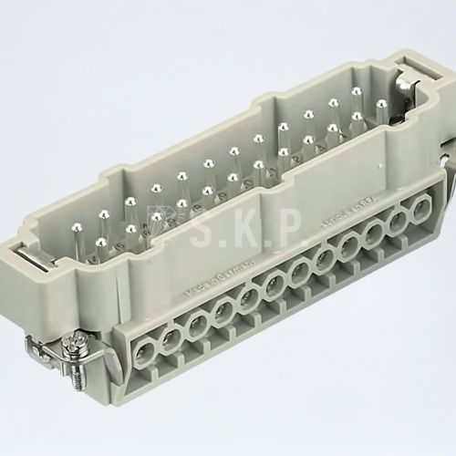 SIZE 24 E 24’lü Erkek Çekirdek