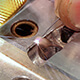service laser welding square 80x80 1